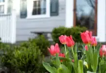 Spring Sellers Have an Edge. Here’s Why. Spring Sellers Have an Edge. Here’s Why.