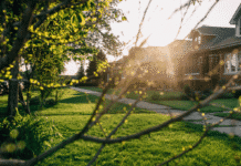 4 Ways To Give Your Offer an Edge This Spring 4 Ways To Give Your Offer an Edge This Spring